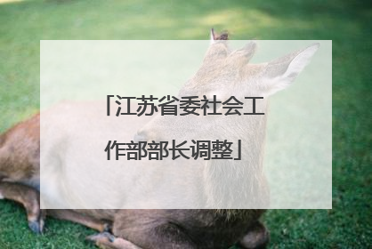 江苏省委社会工作部部长调整